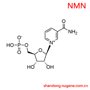 β-烟酰胺单核苷酸分子式